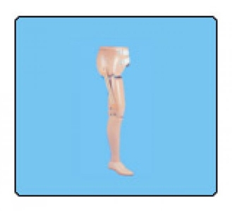Conventional Trans-tibial Prosthesis