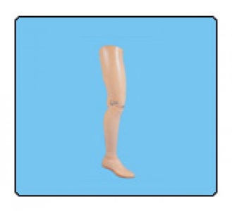 Conventional Transfemoral Prosthesis