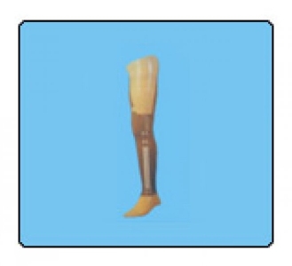 Modular Transfemoral Prosthesis