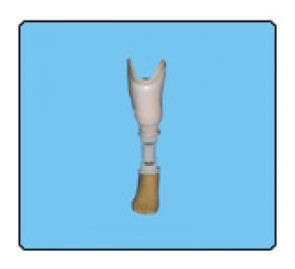SATHI Trans-tibial Prostheses