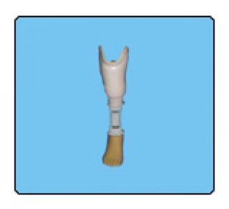 SATHI Trans-tibial Prostheses