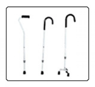 Walking-Stick (Code : C-03)