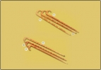 Wooden Walking Sticks
